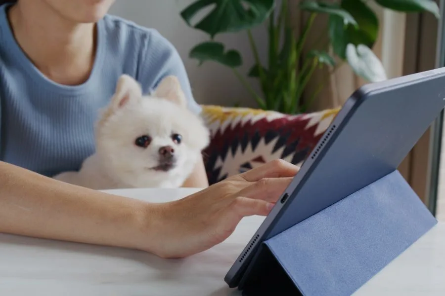 Register Emotional Support Animal cover photo