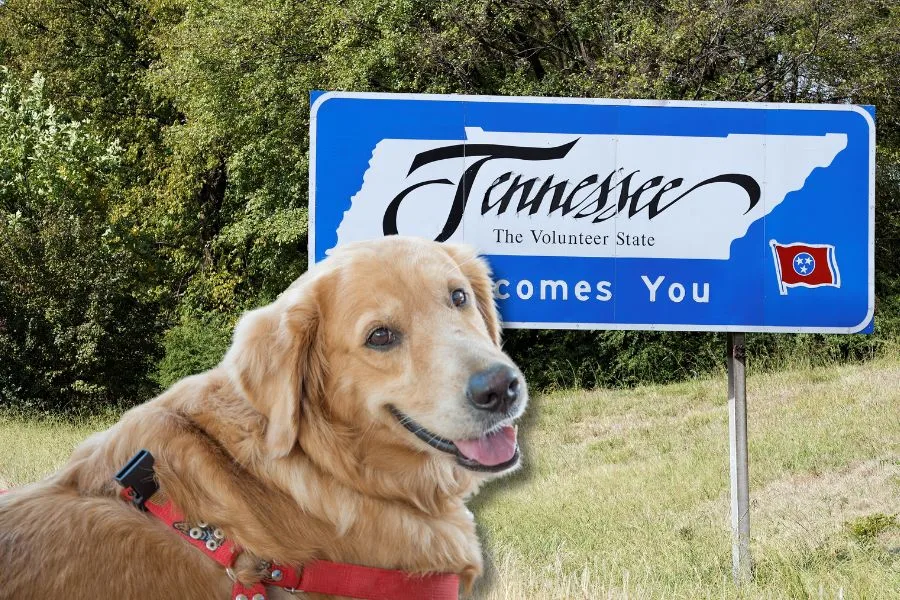 New Tennessee ESA Law (March 2024): What It Could Mean for ESA Owners 19 Tennessee ESA Law Cover