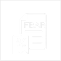 Offshore Assets FBAR Filing icon