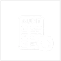Audit Defense