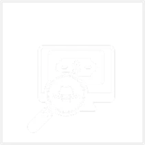 Tax Fraud Investigations