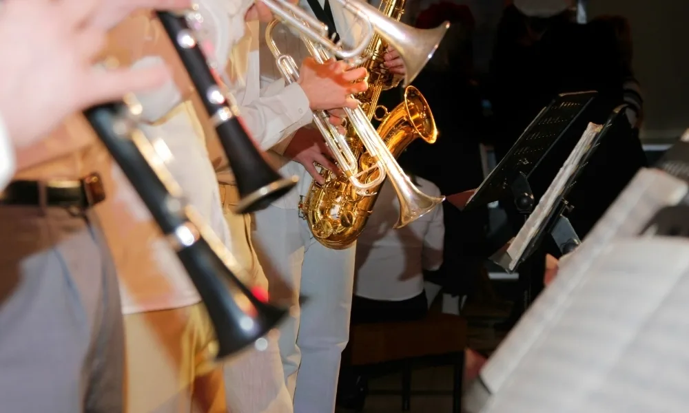 professional instruments