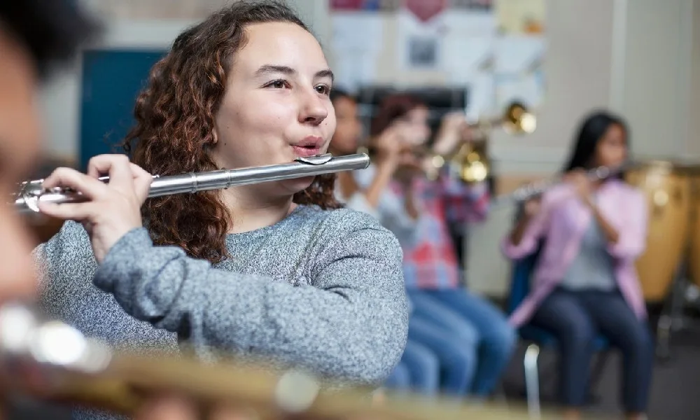 Groovy Guide to Choosing a School Band Instrument 8 band instrument