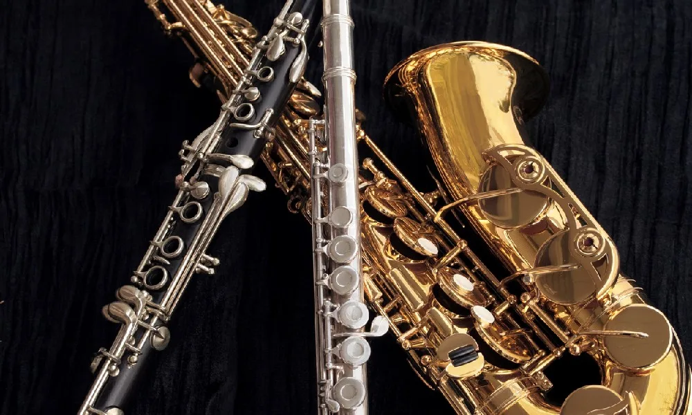 The Top 3 Woodwind Instruments for Beginners 4 The Top 3 Woodwind Instruments for Beginners