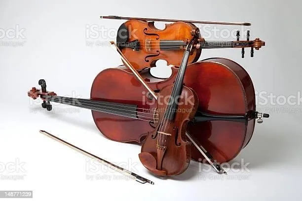 Your Guide to 3 Common String Instruments and Which Is Best for You 1 Your Guide to Learning 3 Common String Instruments