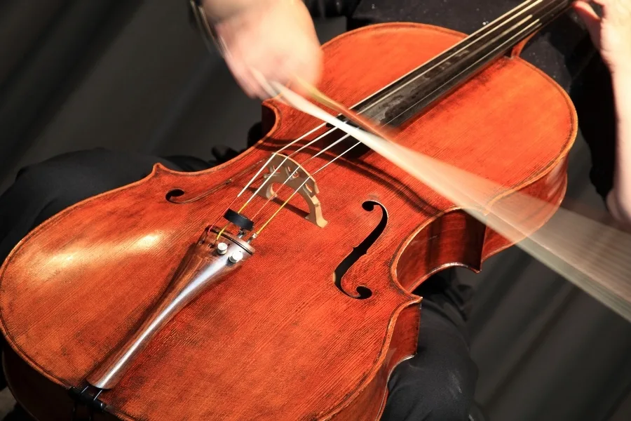 Your Guide to 3 Common String Instruments and Which Is Best for You 5 Playing the celo