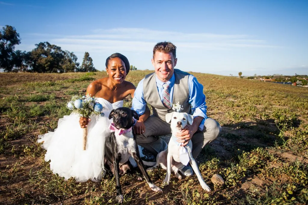 Barbara Macquarrie review of Canalside Inn wedding