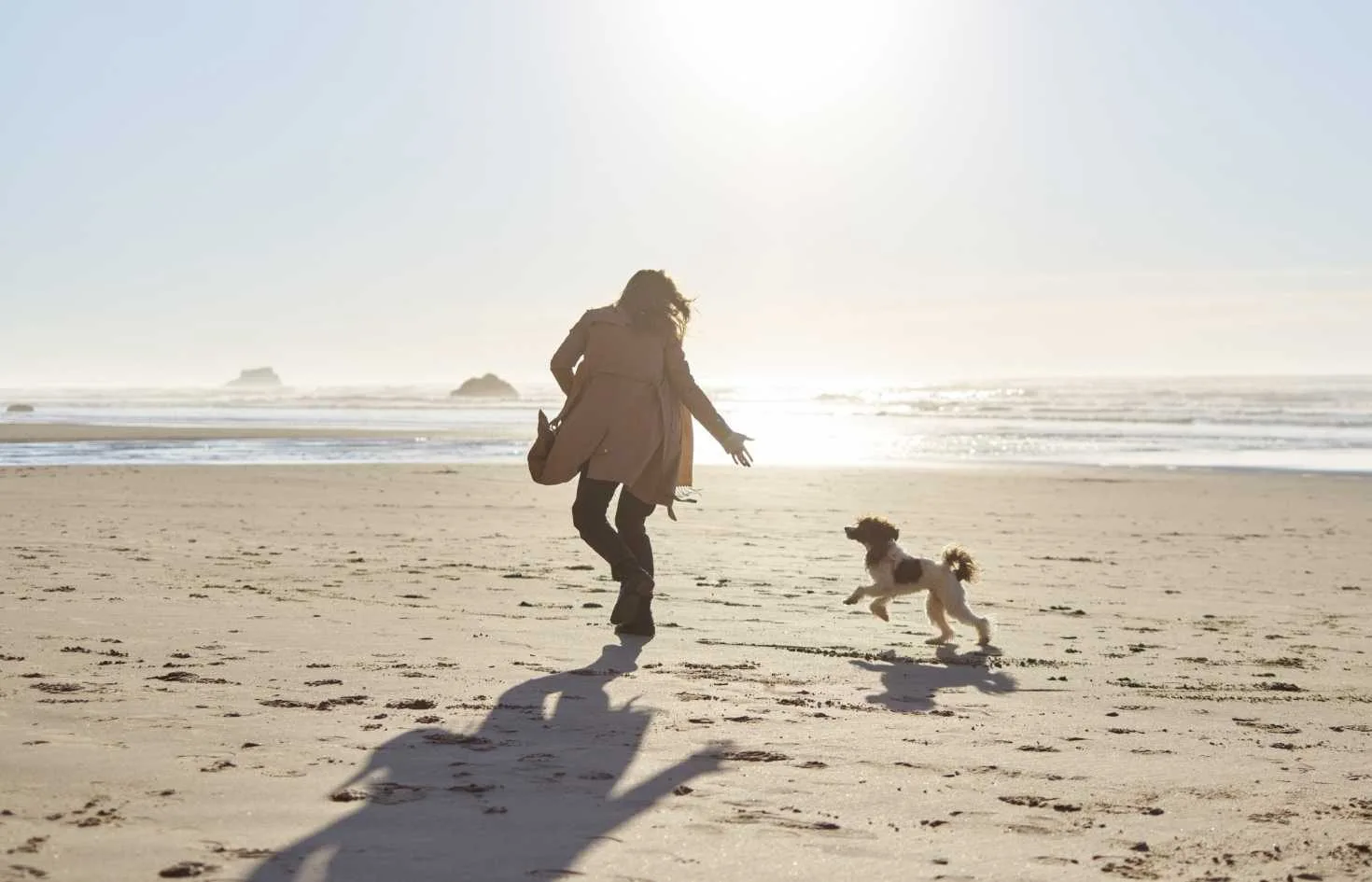 Unleash-the-Perfect-Pet-Friendly-Getaway-at-a-Rehoboth-Beach-Pet-Friendly-Hotel