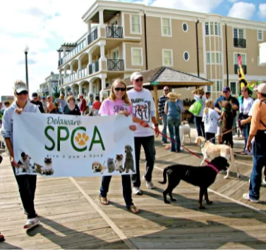 SPCA Bark on The boards Rehoboth Beach Delaware