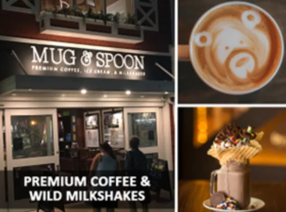 mug and spoon - rehoboth beach